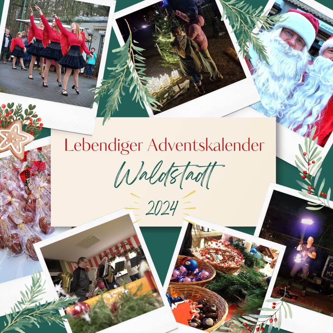 LAK Rückblick 2024