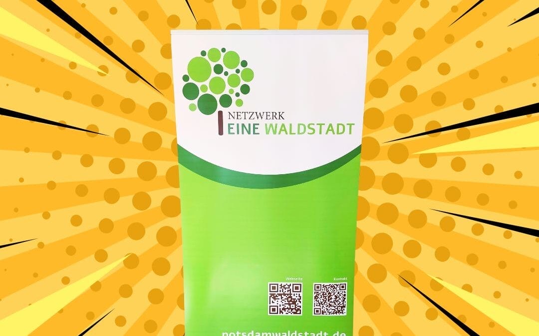 Unser neues Rollup ist da!